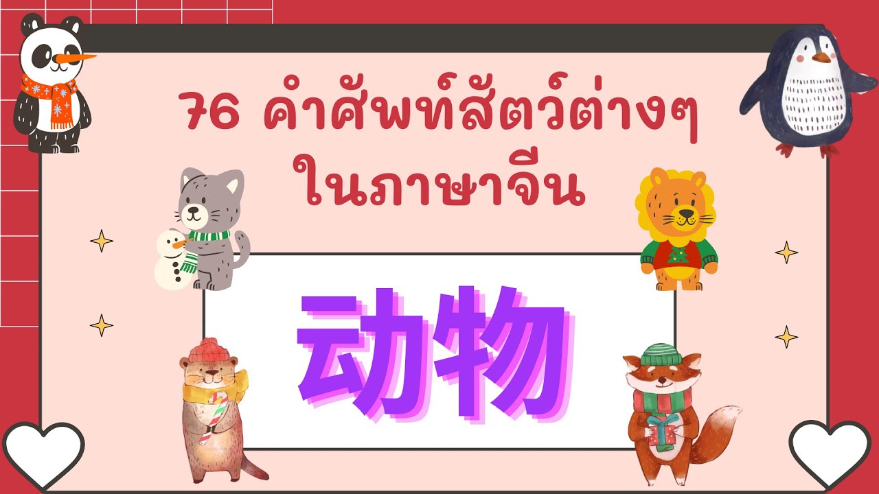 76 คำศัพท์สัตว์ต่างๆ ในภาษาจีน ( 动物 )