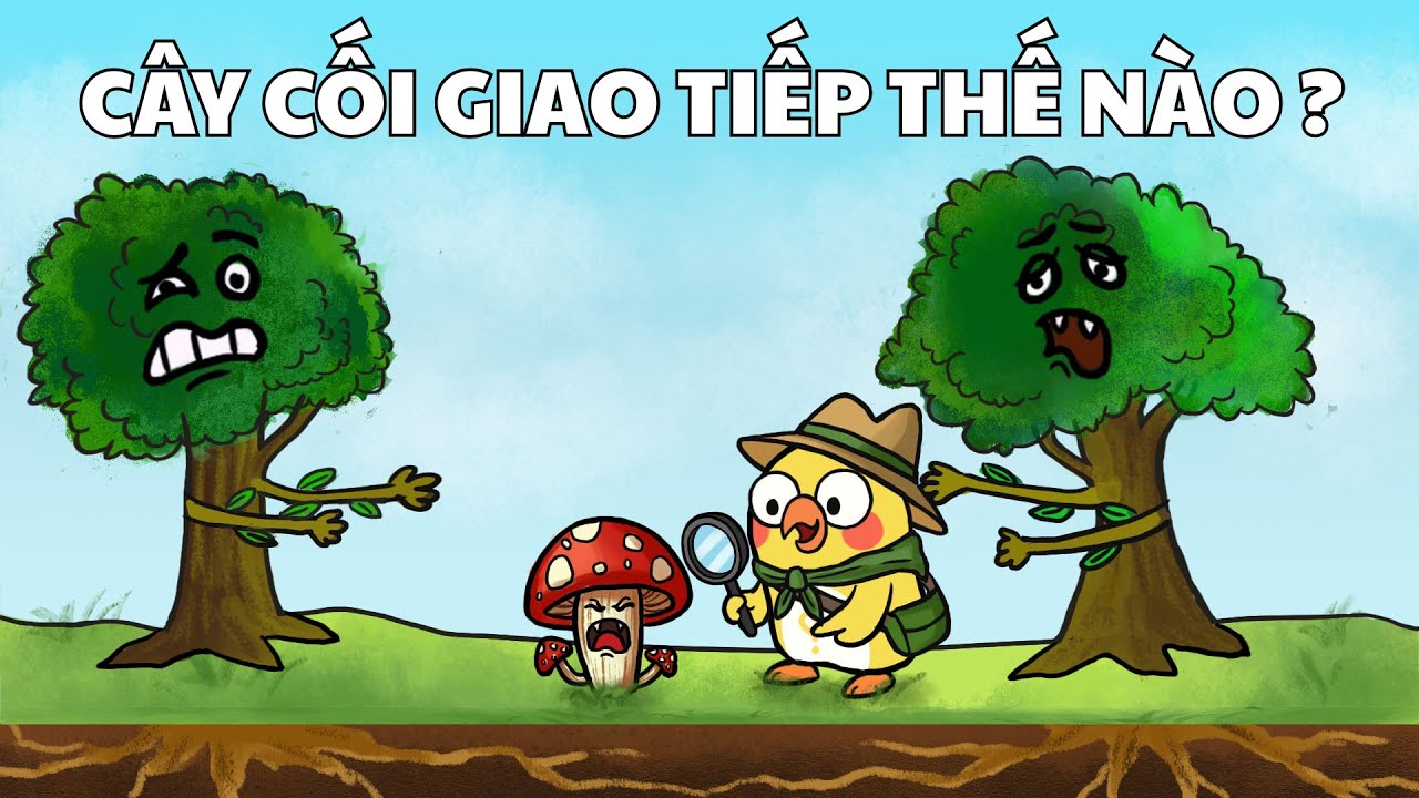 Tại sao cây cối cũng biết trò chuyện?