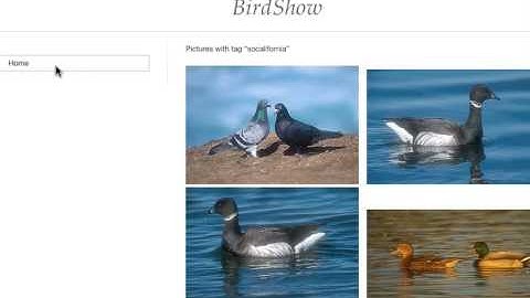 Web app using Scala, Lift and Flickr to Show Pictures