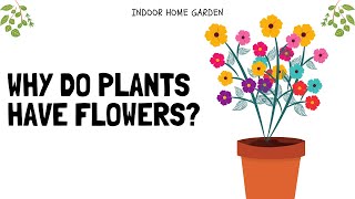 Why Do Plants Have Flowers? - Scientific Reasons!