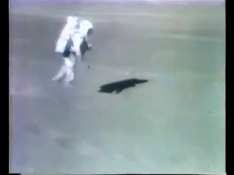 Apollo 16 - такие движения были в реальности