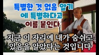 깨달음의 자리는 따지고 들어갈 수 있는 자리가 아닙니다.이때까지 배운 모든 학문을 버리고 몸소 체험하는 것..물의 참맛은 몸이 물에 들어가 봐야 맛 볼 수 있는 것입니다.#지유스님