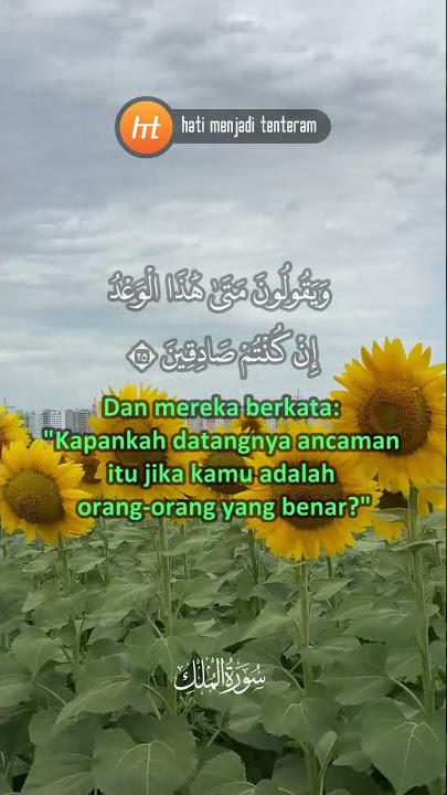 Surat Al Mulk ayat 24-27 (Bahasa Indonesia) #shorts