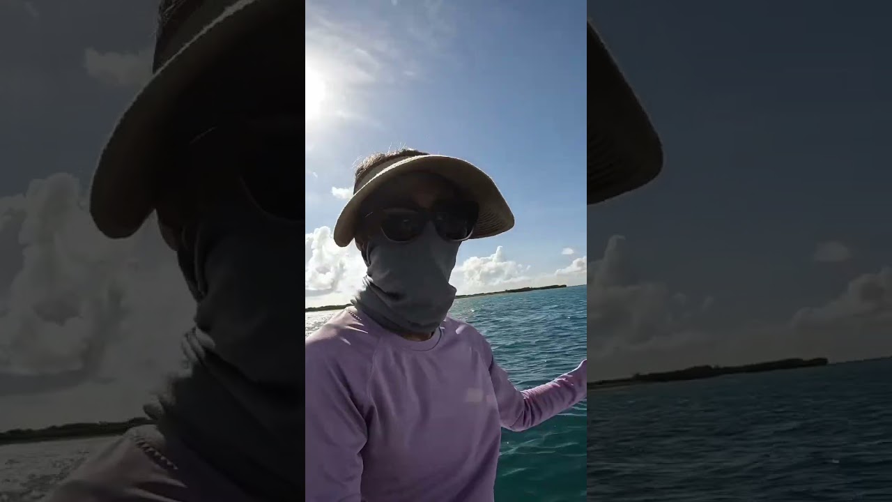 Bye Felicia’s crew dinghy ashore to explore the uninhabited island of Boca Grande Key. #shorts