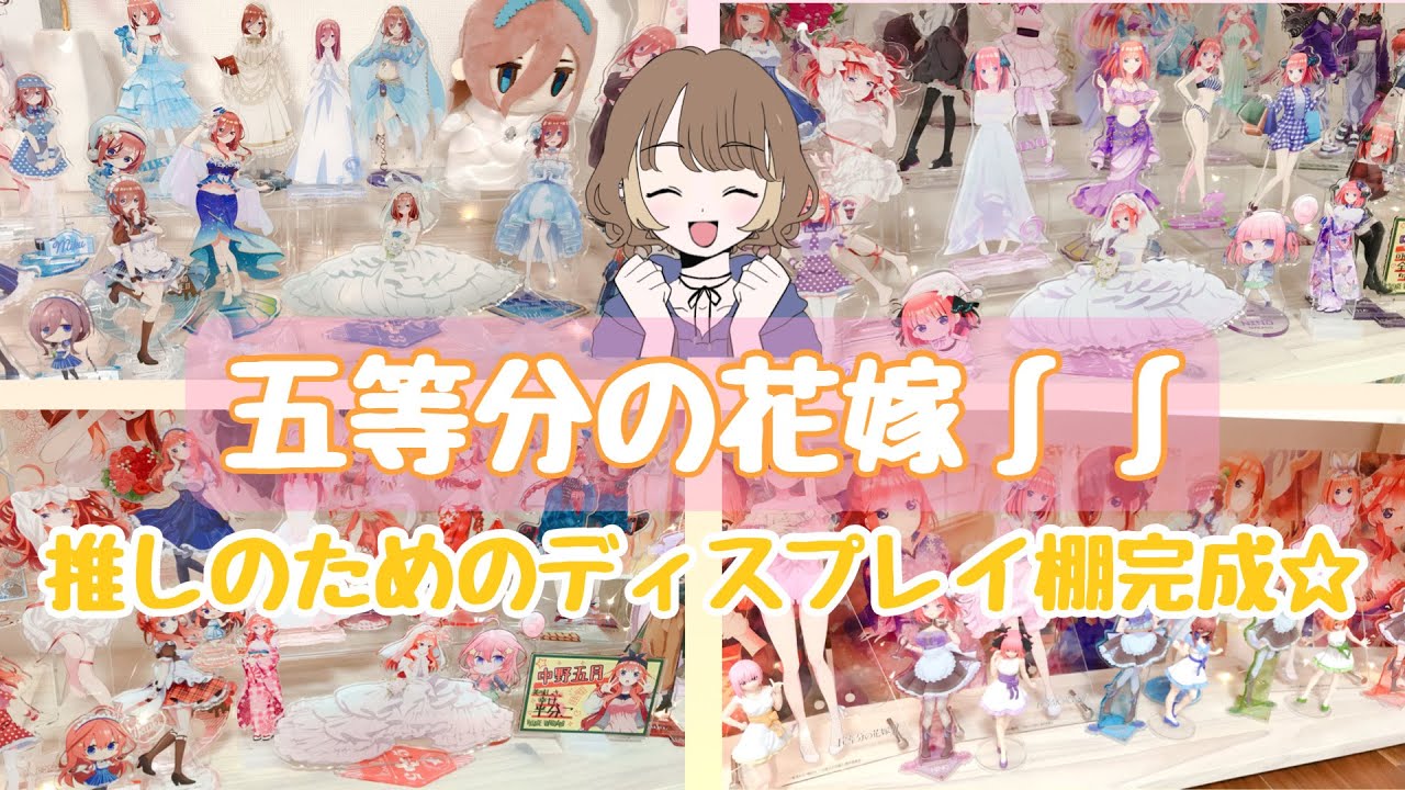 オタク部屋】五等分の花嫁推しの棚完成！！グッズ・ディスプレイご紹介 