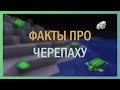 Топ фактов про МОБА в Майнкрафте || ЧЕРЕПАХА