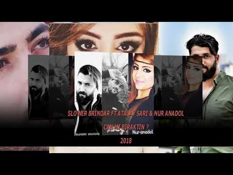 SLower Brindar Ft AtaLay Sarı & Nur AnadoL - CANMI BIRAKTIN