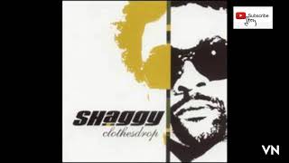 Shaggy - Broadway.