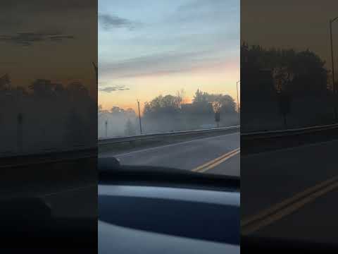 #fogs #nature #toronto #canada #trip