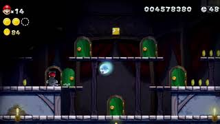 Which Way Labyrinth Star Coins Guide  -  Soda Jungle - New Super Mario Bros screenshot 5