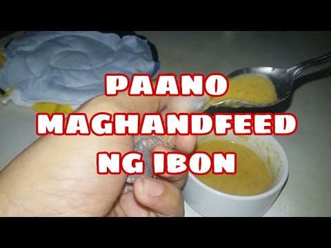 Video: Paano Maghatid Ng Pagkain