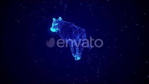 Stardust Running Wolf Ver. 2 | Motion Graphics - Envato elements