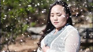 Lub Nplajteb Nua Nyob Tsis Ntev II N. Vajxob Xyooj