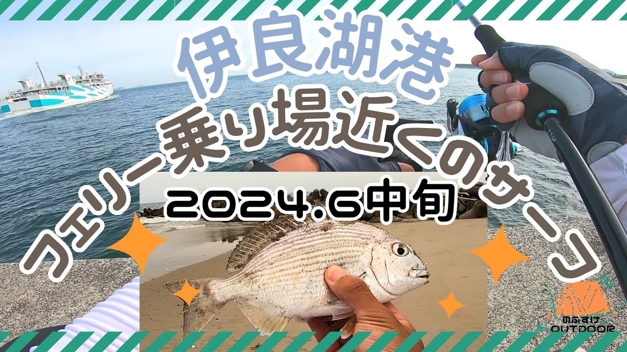 伊良湖釣り2024　伊良湖港の堤防とフェリー乗り場の近くのサーフでも釣ってみました。
