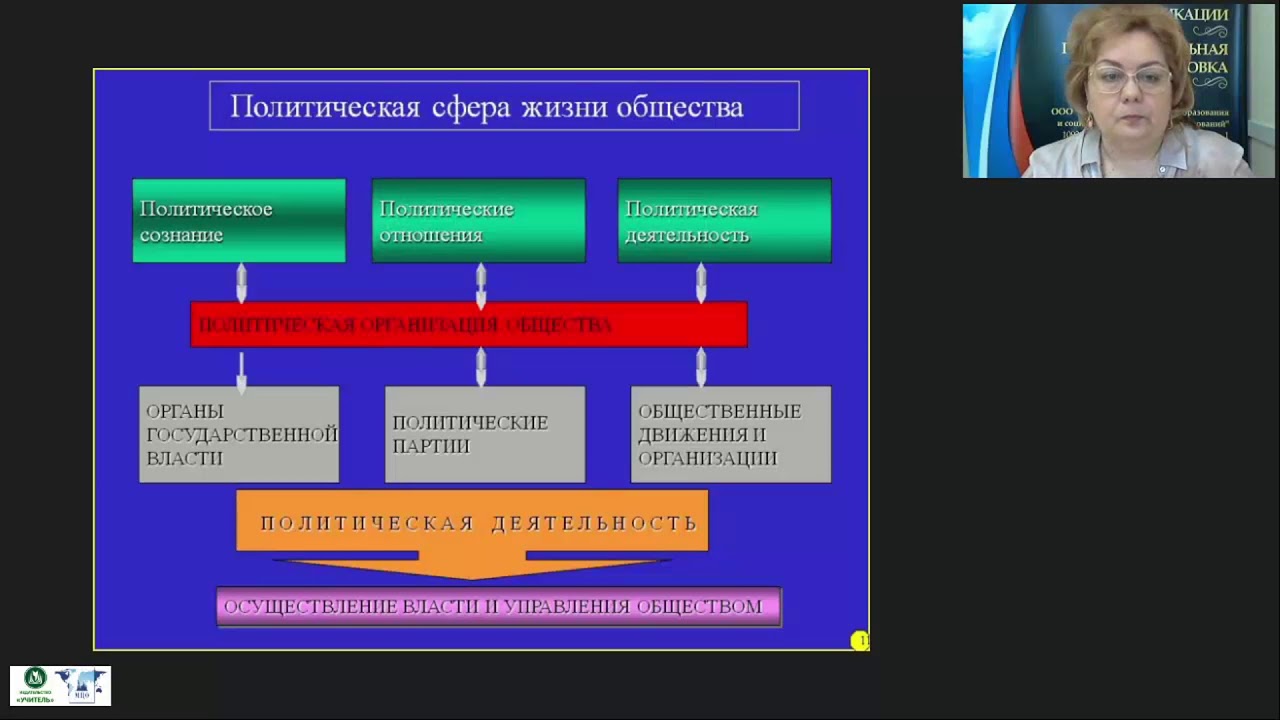 Политическая сфера организации и деятельность