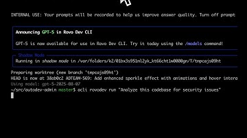 Interactive Mode in Rovo Dev CLI | Rovo Dev | Atlassian