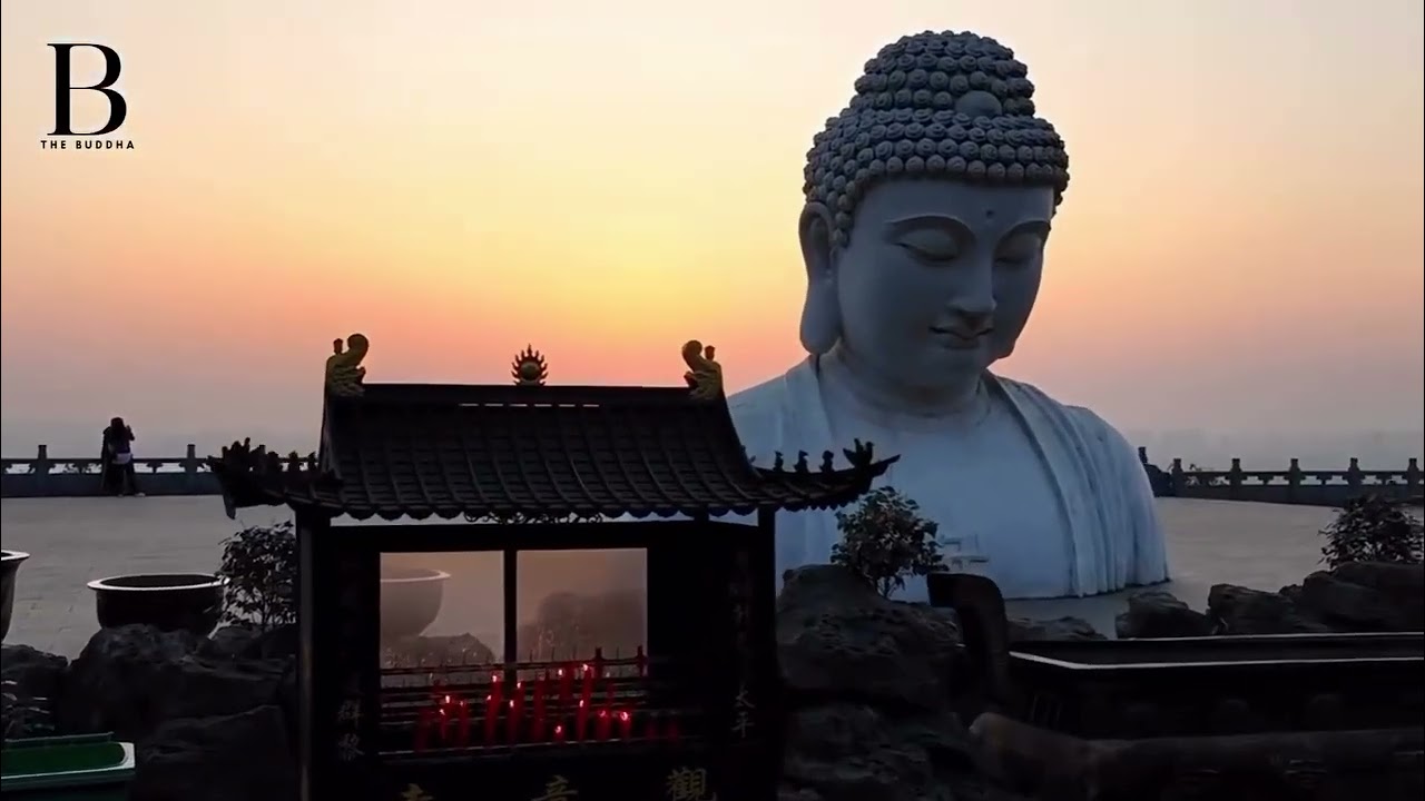 Gautam buddha New WhatsApp Status 💙🙇‍♀️☸️🙏