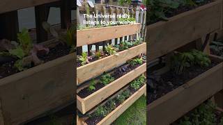 From a Pinterest pin straight to my backyard! 📌🌿​