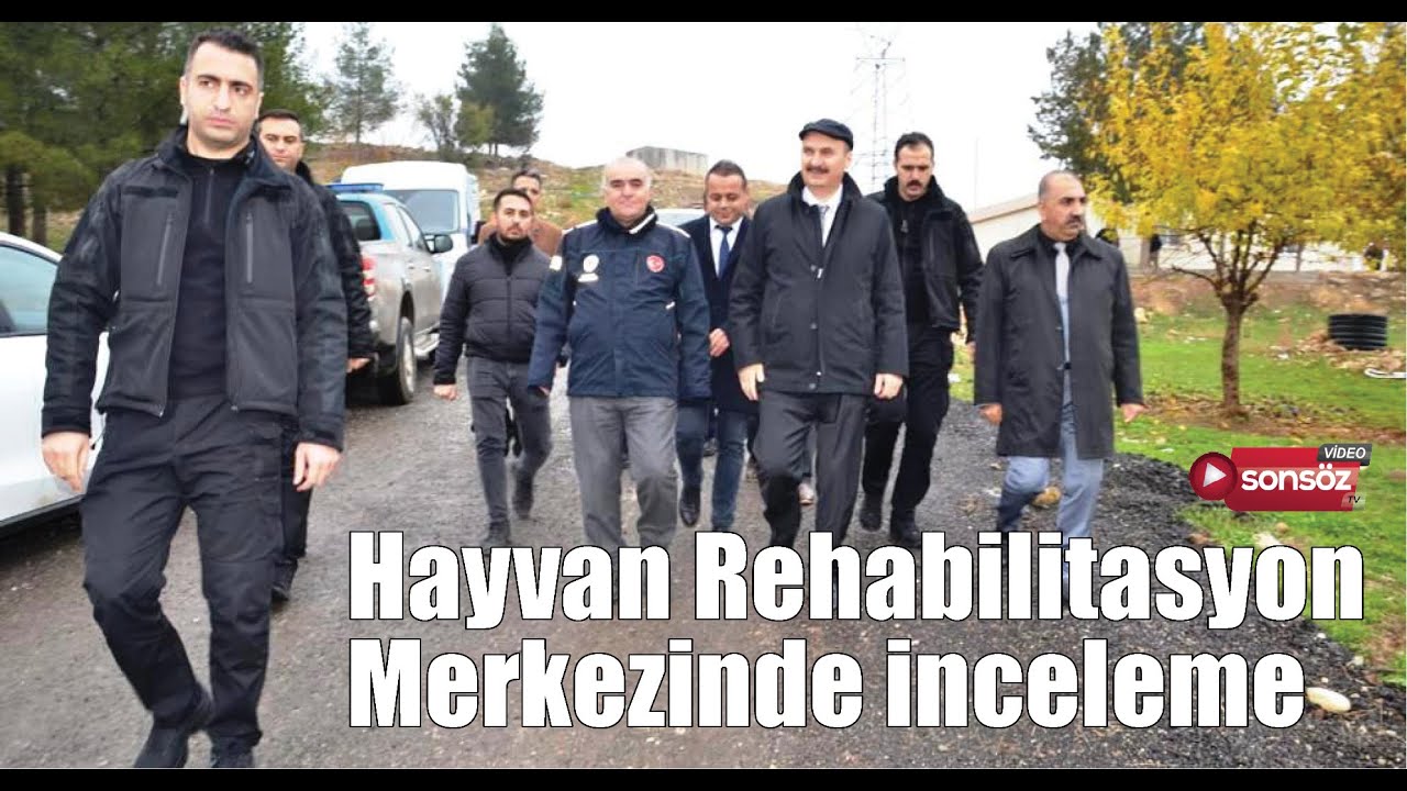 Hayvan Rehabilitasyon Merkezinde inceleme