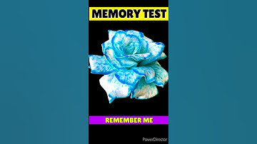 MEMORY TEST 53 - Riddles and Puzzles for IQ Test | Hindi Paheli #shorts #shortvideo #trending