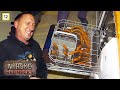 Norske Rednecks | Koker pølser i en oppvaskmaskin | discovery+ Norge