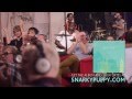 Capture de la vidéo Snarky Puppy - Sleeper (We Like It Here)