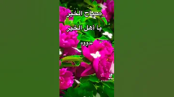 صباح النور والسرور 