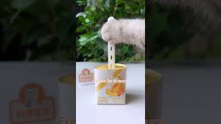 Roasted Marshmallow Ice Cream Is Absolutely Delicious！ #Chefcat #Catsofyoutube #Tiktok #Shorts