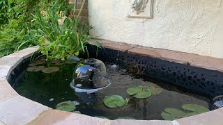 Update on witham job and pond clean,filter install,