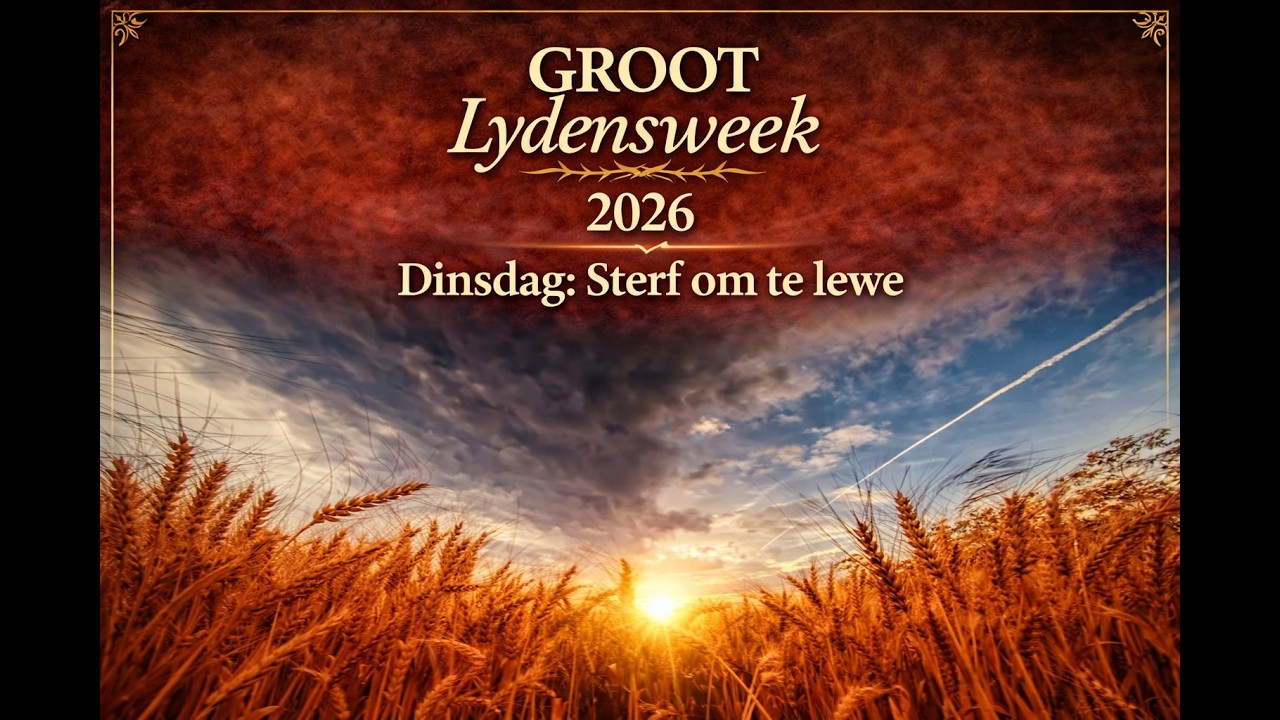 Dinsdag 2026
