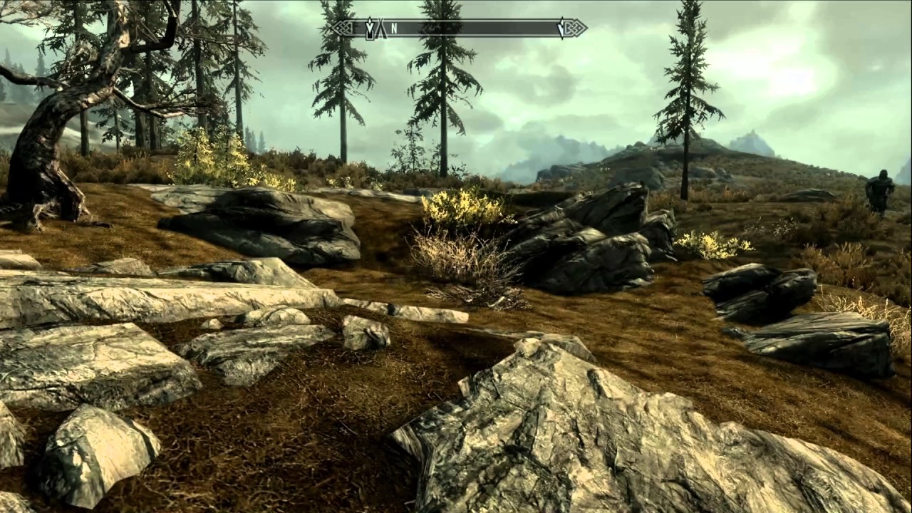 Skyrim halted stream camp location