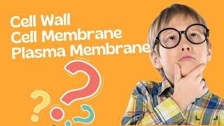 Cell membrane and Cell wall | Difference between Plasma membrane and cell membrane