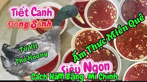 Tiết Canh Đông Sánh-Cách Hãm Tiết Bằng Mì Chính-Vịt Qua Dân Dã Ẩm Thực Miền Quê ❗️