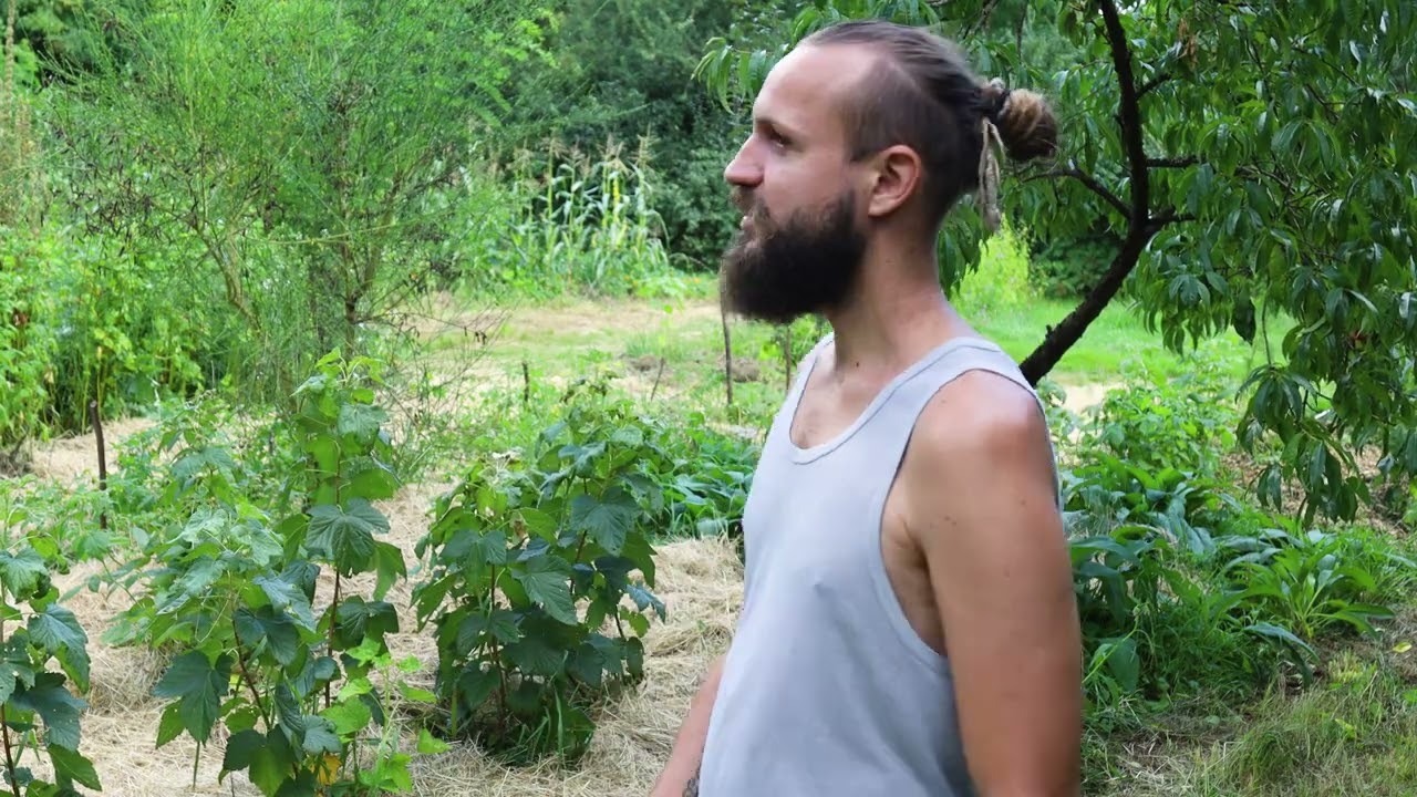 Die Permakultur-Revolution: Aus 19 Bodenpunkten wird ein Garten