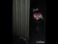 Cartoon cat in My house 2