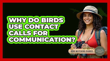 Why Do Birds Use Contact Calls For Communication? - Bird Watching Diaries