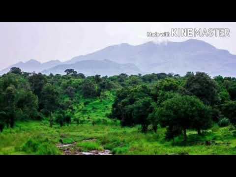 أقمار الضواحي لمحمود عبد العزيز محبتي لكل سوداني ة