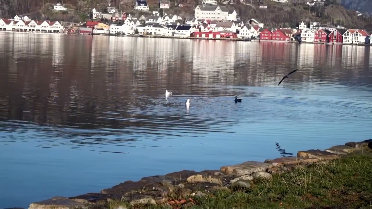 Bilder fra Flekkefjord del 3