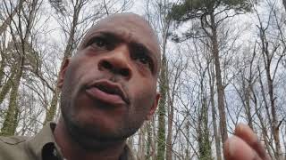 PULLING BACK THE CURTAIN REVEALS FOOLS