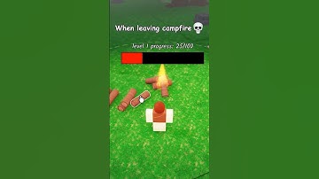 Bro Forgot the Campfire 😂