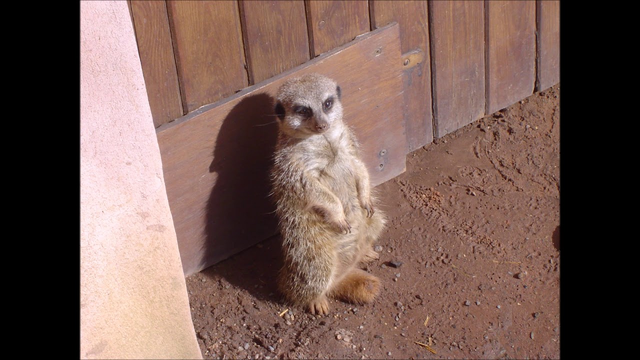 E Boogie - B2 - Come On