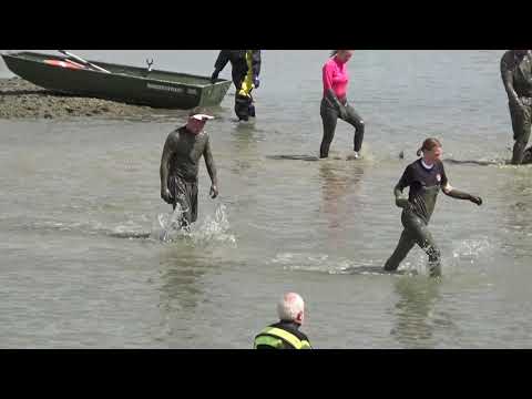 Video: Was läuft auf der Maldon Promenade?