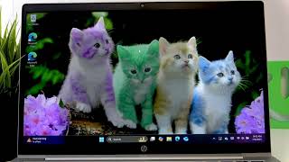 Hp Probook 635 How To Make Your Laptop Faster