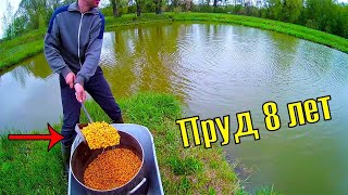 МОЙ ПРУД ЧЕРЕЗ 8 ЛЕТ! ПРУД СПУСТЯ 8 ЛЕТ! СТАВИМ МОРДЫ, ВЕРШУ, КОРМИМ РЫБУ!