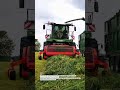 Fendt Forage Beast in Action 🚜🌱 High-Speed Silage Power #Fendt #ForageHarvester #AgriTech