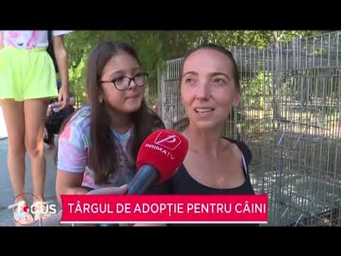 Video: Există Opțiuni Ecologice De Curățare A Cacelor De Câine?