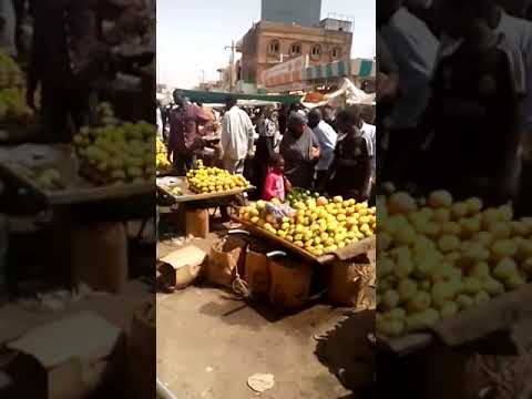 الأستاد لفة الكلاكلة 2 