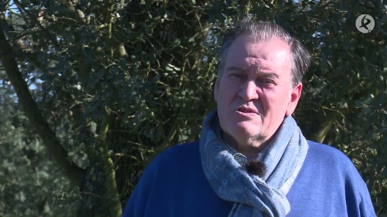 Descubrir la dehesa extremeña | Territorio Extremadura