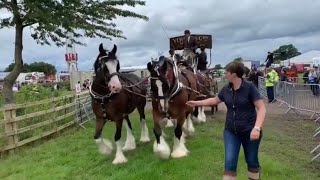 The Royal Cheshire Show