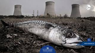 6. Küresel İklim Değişikliği Yarışması - Alarko Carrier